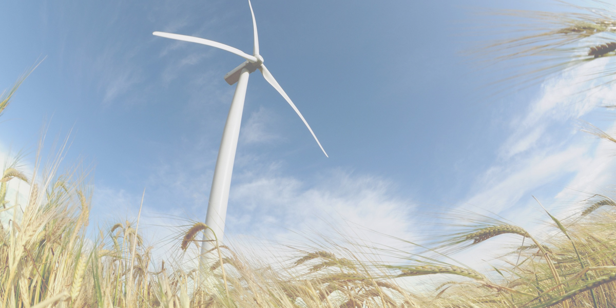 Windbender windfarm energy harvesting. Wind Bender